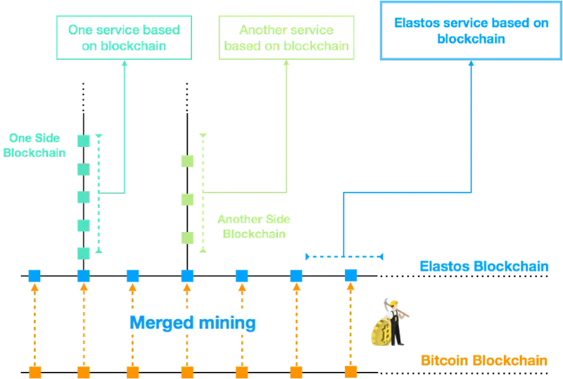 Diagrama de cómo funciona la fusión de mineria con bitcoin y Elastos