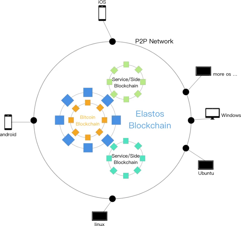 Diagrama de cómo se ve elastos blockchain y cómo se implementa la red P2P