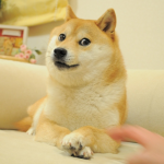 Un NFT de la foto que inspiró a Dogecoin se acaba de vender por $ 4 millones